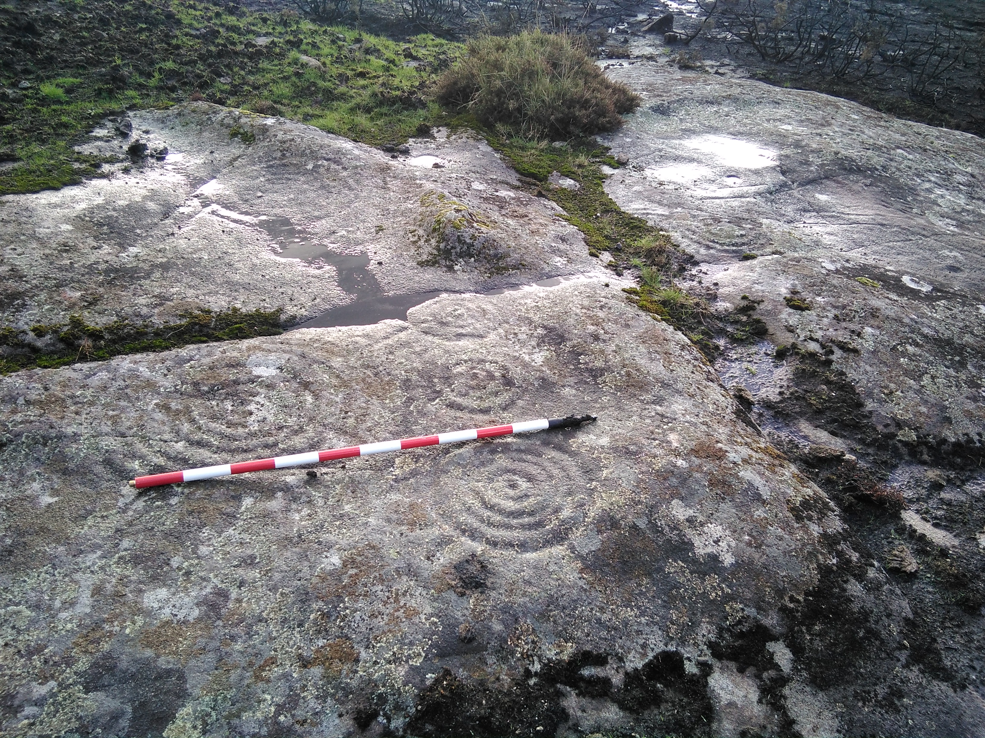 Petroglifo Gargamala(Mondariz)